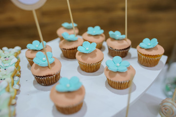 white blue turquoise cookies bunny stile and cupcakes