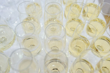 rows of glasses filled with champagne