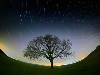 Foto auf Acrylglas beautiful sky at night with startrails and silhouette of lonely tree on field © bereta