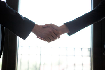 Businesswoman and businessman shaking hands on window background