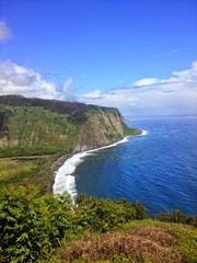 Fototapeta premium hawai