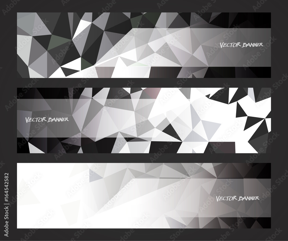Wall mural a set design of abstract modern vector bright horizontal web banner black and white with shiny polyg