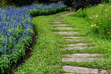 Fototapeta na wymiar Wooden Pathway in garden