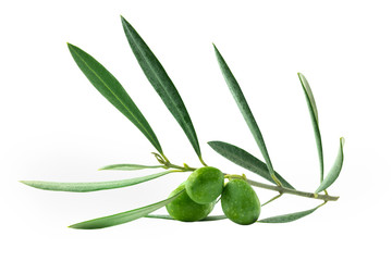 Green olive branch with berries, isolated on white © laplateresca