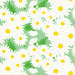 Seamless floral pattern. Background in small white daisy flowers on a green background for textiles, fabric, cotton fabric, cover, wallpaper, stamp, gift wrap, postcard, scrapbooking.