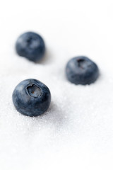Sweet blueberries isolated over white sugar background.