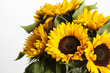 Fototapeta premium Bright sunflowers bouquet on white background, close up