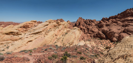 Fototapeta na wymiar Desert canyon with red rocks