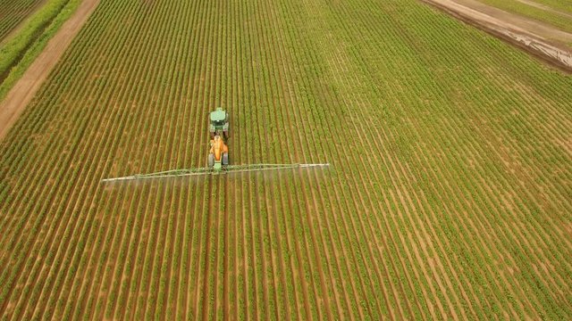 Aerial view tractor spraying the chemicals on the large green field. Spraying the herbicides on the farm land. Treatment of crops against weeds. 4K, aerial footage.