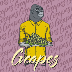 Vector gorilla with grapes illustration