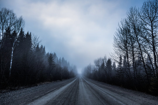 Spooky Fog and Bad Visibility on a Rural Road in Forest