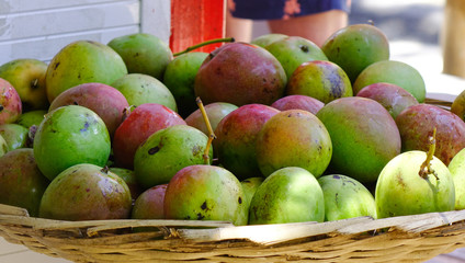 Fresh mango at the market