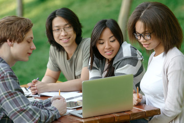 Multiethnic group of cheerful young students studying