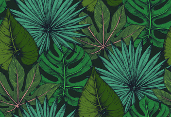 Vector seamless pattern with compositions of hand drawn tropical plants