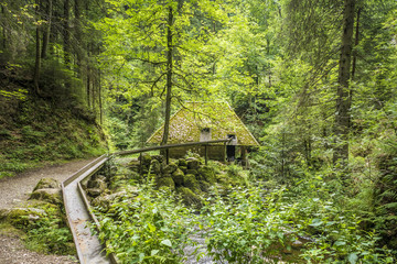 mill hut at Ravenna Gorge