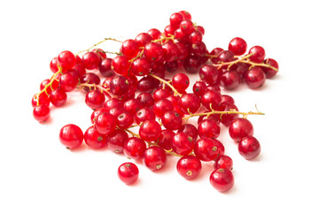 Ribes isolato su fondo bianco