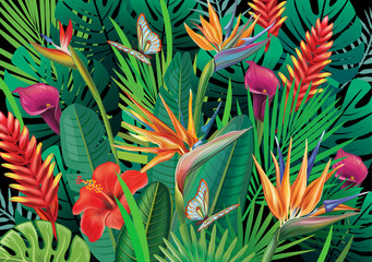 Fototapety  Tło z egzotycznymi tropikalnymi kwiatami