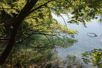 Paysage de la nature dans le parc national des lacs de Plitvice en Croatie
