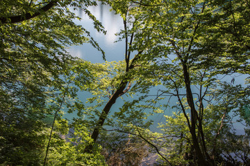 Fototapeta premium Paysage de la nature dans le parc national des lacs de Plitvice en Croatie 