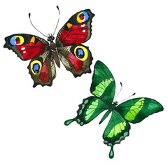 Exotic butterfly wild insect in a watercolor style isolated. Full name of the insect: butterfly. Aquarelle wild insect for background, texture, wrapper pattern or tattoo.