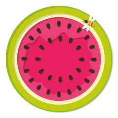 Watermelon colorful icon isolated on white.