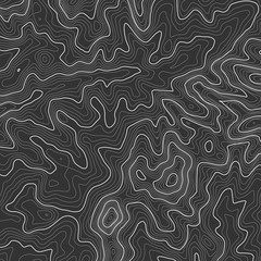 Fototapeta premium Topographic map background with space for copy . Line topography map contour background , geographic grid abstract vector illustration . Mountain hiking trail over terrain .