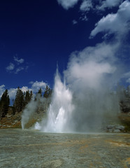 Yellowstone