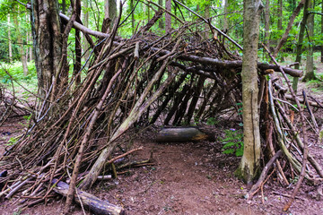 Camping in the wood at Hartshill Hayes Country Park, Nuneaton UK 