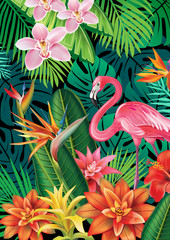 Obrazy  Tło z egzotycznymi tropikalnymi kwiatami