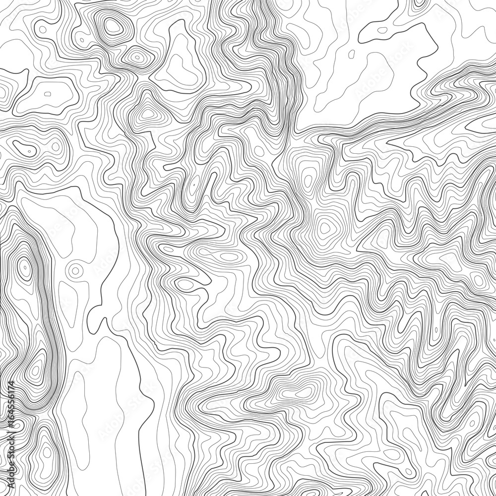 Wall mural topographic map background with space for copy . line topography map contour background , geographic