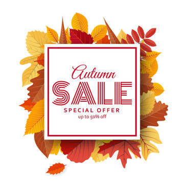 Autumn sale background template with bright leaves. Vector illustration