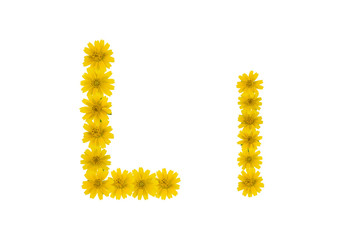 Obraz premium Letter L, alphabet made from yellow Wedelia flowers isolated on white background