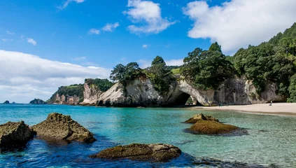 Cathedral Cove © Steve