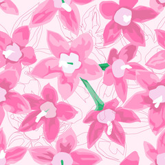 Egyptian star cluster flower design. Pink flower on flower line background for seamless, pattern and background. Vector illustration.