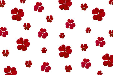 Background by red leaves and fern on white background for isolated, Frame background by red leaf and fern, The fern leaves on white background