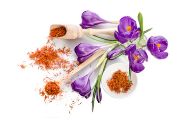 crocus flower with saffron isolated on white background