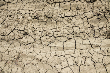 Dry land