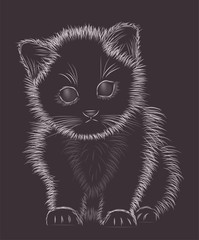 Little kitten black and white, vector illustration