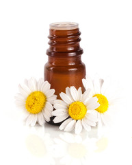 Obraz na płótnie Canvas bottle with essential oil and fresh chamomile flowers isolated on white background