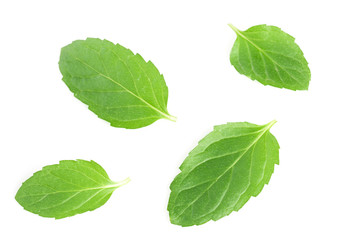 Fototapeta na wymiar fresh mint leaves isolated on white background