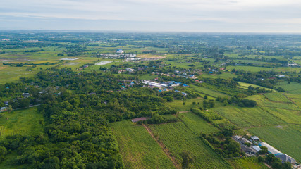 Aerial view of the housing with the typical rice farming or agriculture in rural Thailand