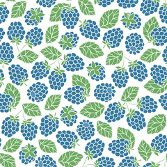Seamless Pattern of Blackberry