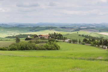 Fototapeta na wymiar Tuscany countryside