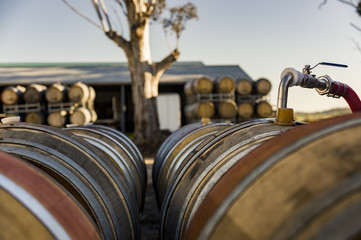 wine barrel shallow depth of filed outdoor