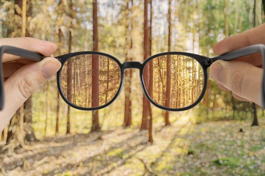 Man holds glasses in hands. View through eyeglasses on forest.