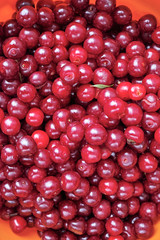 Background of ripe cherries