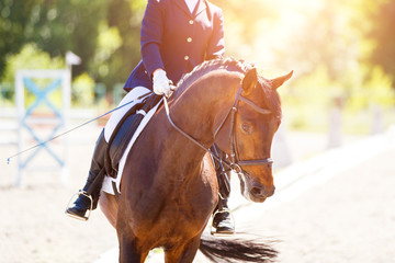 Close up image of horse with rider at dressage equestrian sports competitions. Details of equestrian equipment