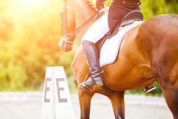 Close-up beeld van paard met ruiter bij dressuur paardensport competities. Details van ruiteruitrusting