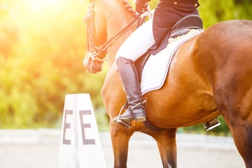 Tuinposter Paardrijden Close-up beeld van paard met ruiter bij dressuur paardensport competities. Details van ruiteruitrusting