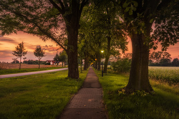 Spazierweg in der Dämmerung 